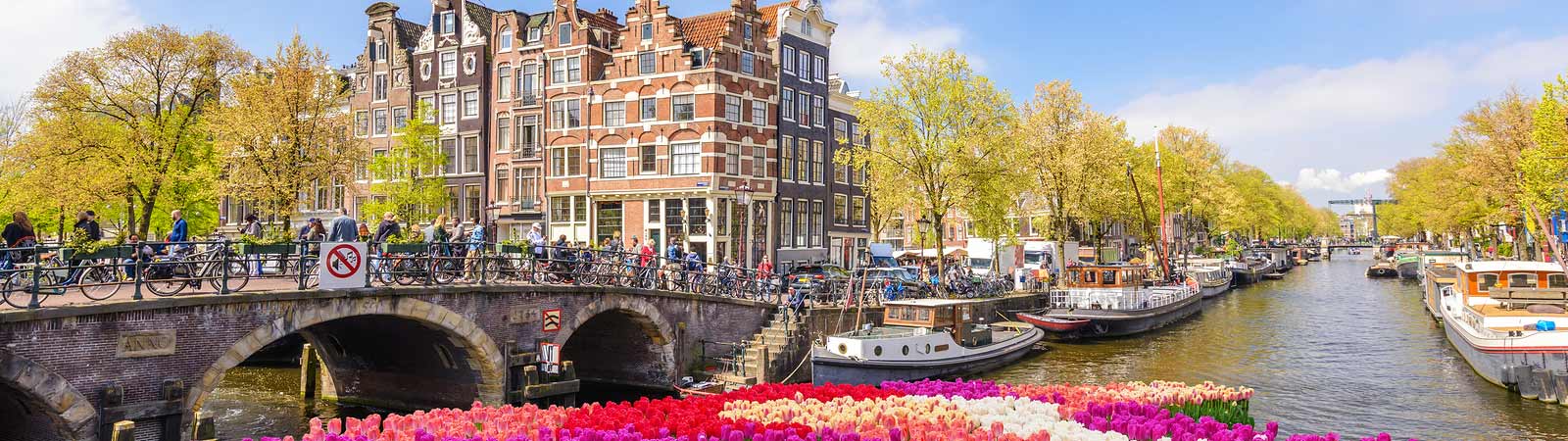 escorted tours netherlands