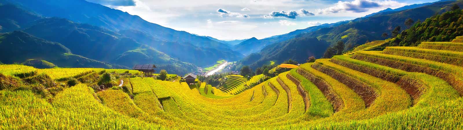 Paddy rice terraces in the Vietnamese countryside that can be seen on a Vietnam tour of Southeast Asia